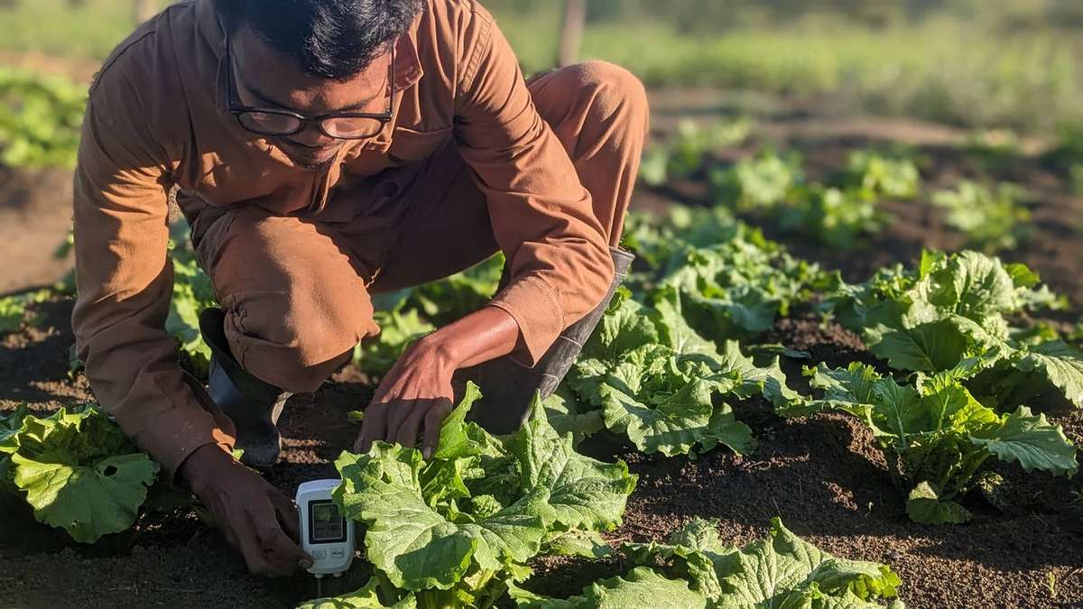 Innovation and vulgarisation